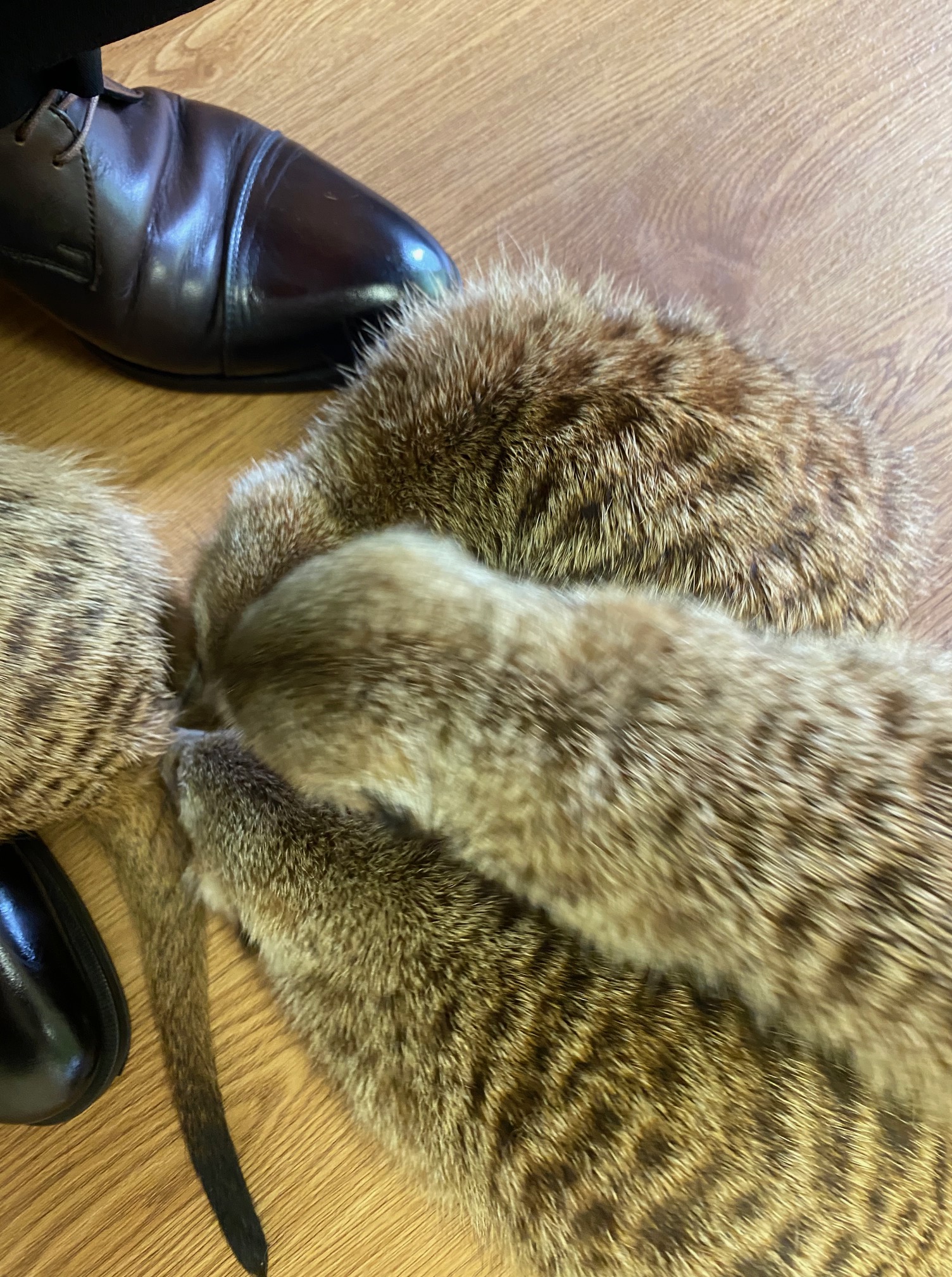 婚活コラム画像